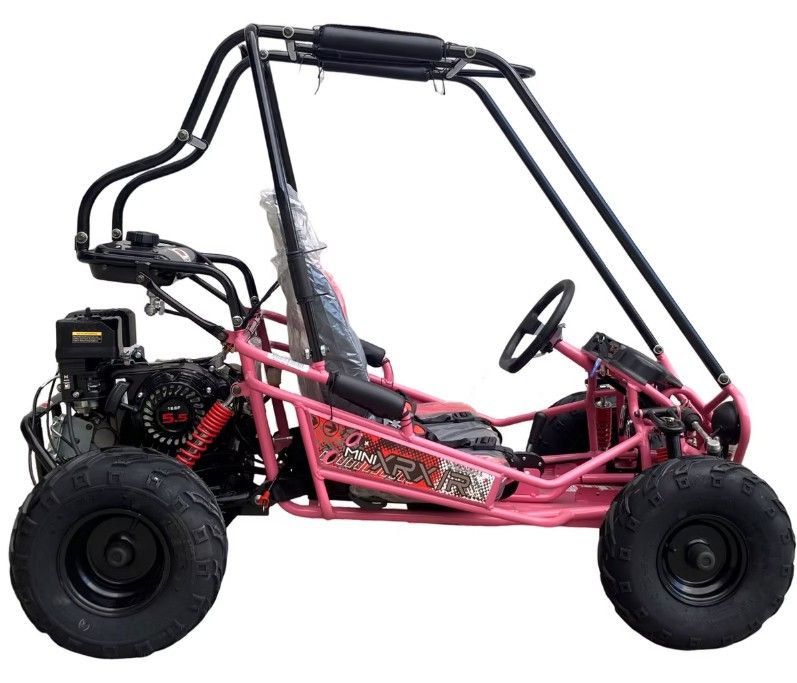 2025 TRAILMASTER POWERSPORTS MINI-XRXR in San Antonio, Texas - Photo 11