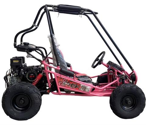 2025 TRAILMASTER POWERSPORTS MINI-XRXR in San Antonio, Texas - Photo 11