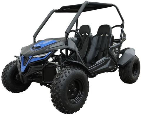 2026 TRAILMASTER POWERSPORTS Cheetah 200 in San Antonio, Texas - Photo 10