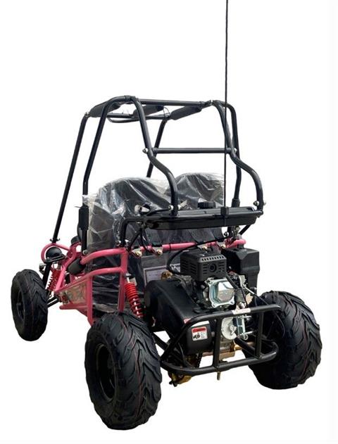 2025 TRAILMASTER POWERSPORTS MINI-XRXR in San Antonio, Texas - Photo 9