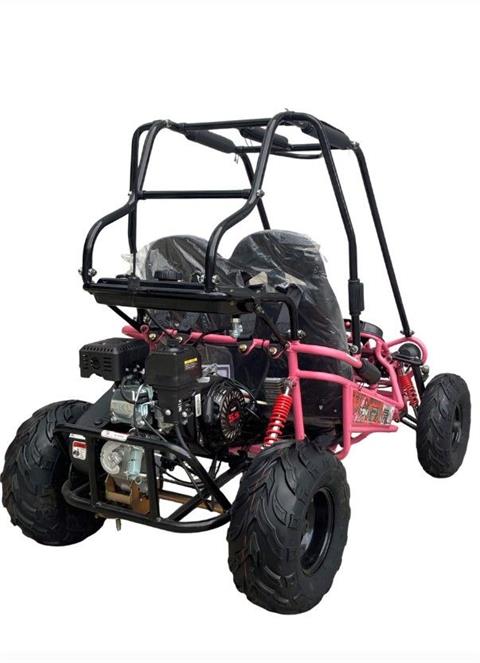 2025 TRAILMASTER POWERSPORTS MINI-XRXR in San Antonio, Texas - Photo 8