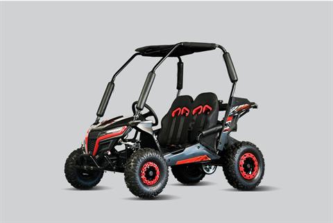 2026 TRAILMASTER POWERSPORTS Cheetah 6 in San Antonio, Texas - Photo 1