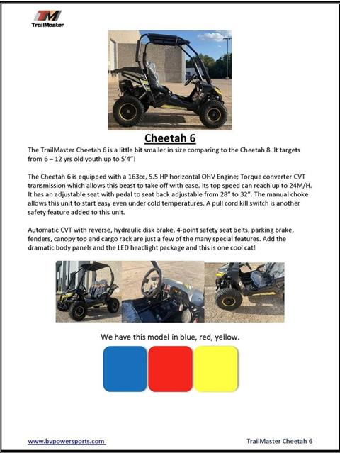 2026 TRAILMASTER POWERSPORTS Cheetah 6 in San Antonio, Texas - Photo 12