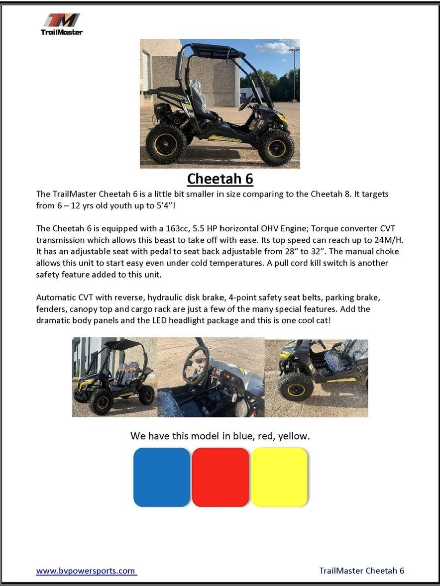 2026 TRAILMASTER POWERSPORTS Cheetah 6 in San Antonio, Texas - Photo 12