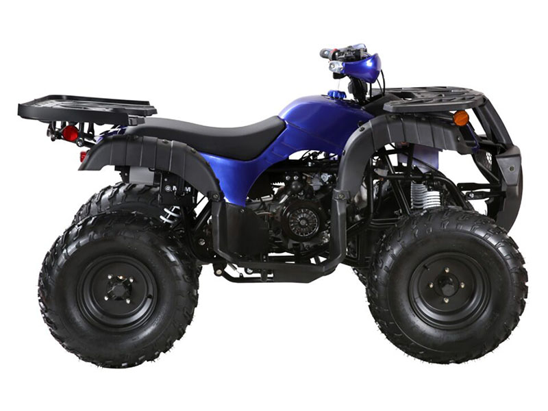 2026 Coolster ATV-3200U in San Antonio, Texas - Photo 2