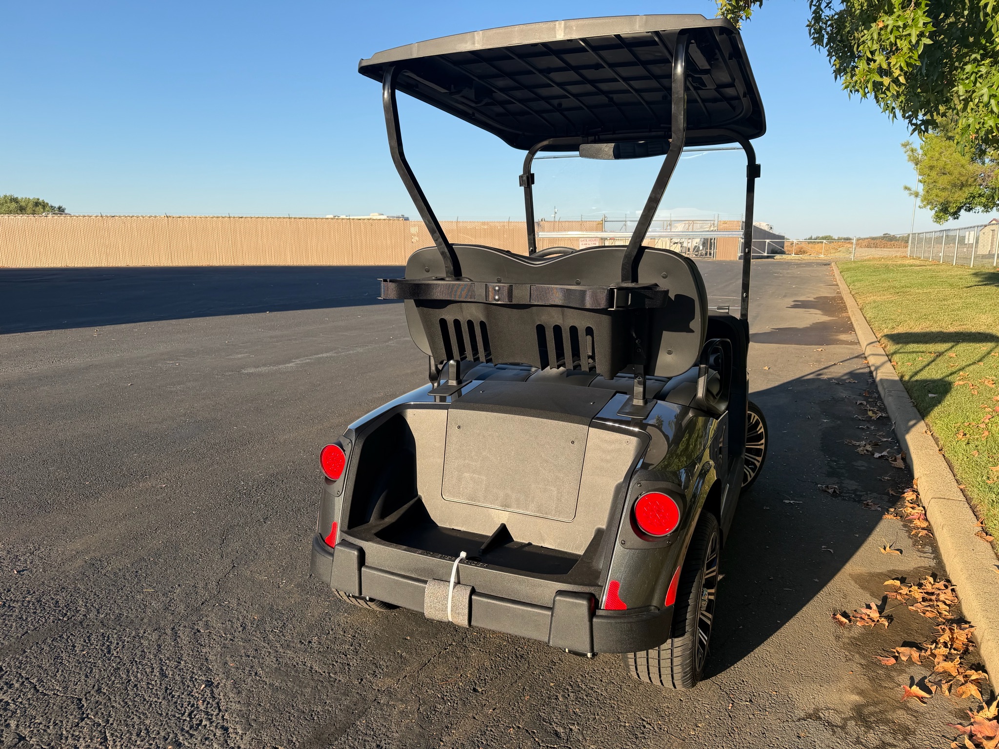 2027 EZGO RXV photo 3