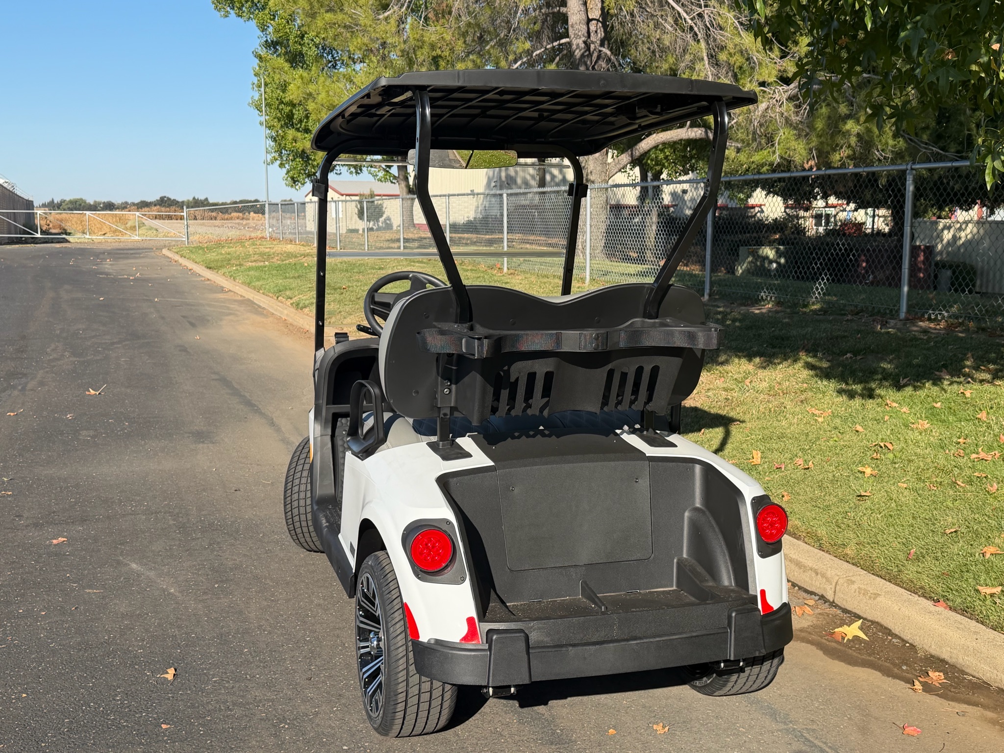 2027 EZGO RXV photo 3
