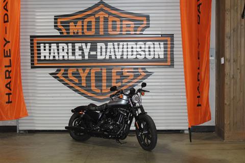 2022 Harley-Davidson Iron 883™ in Temecula, California