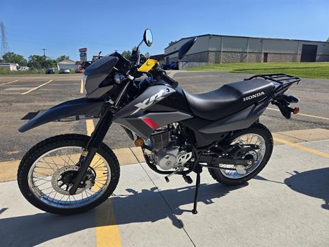 New 2025 Honda XR150L Motorcycles in Canton, OH | Stock Number: N/A