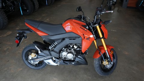 2025 Kawasaki Z125 Pro