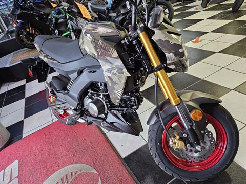 2025 Kawasaki Z125 Pro