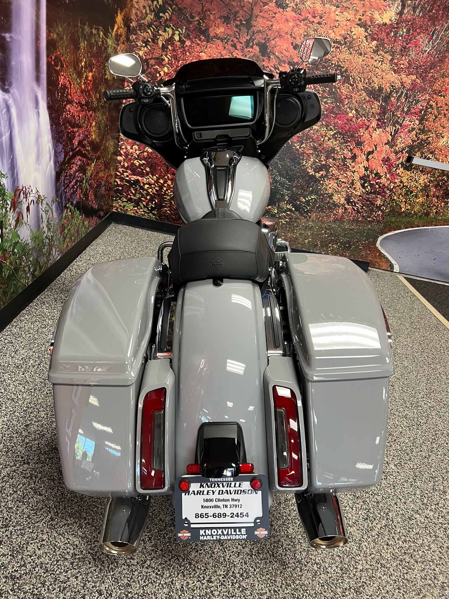 2025 Harley-Davidson Street Glide® 8