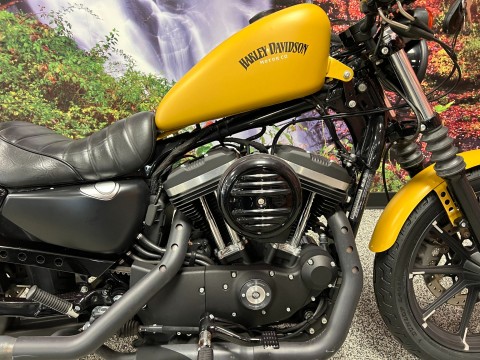 2019 Harley-Davidson Iron 883™ for Sale - Specs, Price | Used