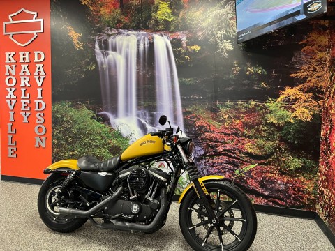 2019 Harley-Davidson Iron 883™ for Sale - Specs, Price | Used