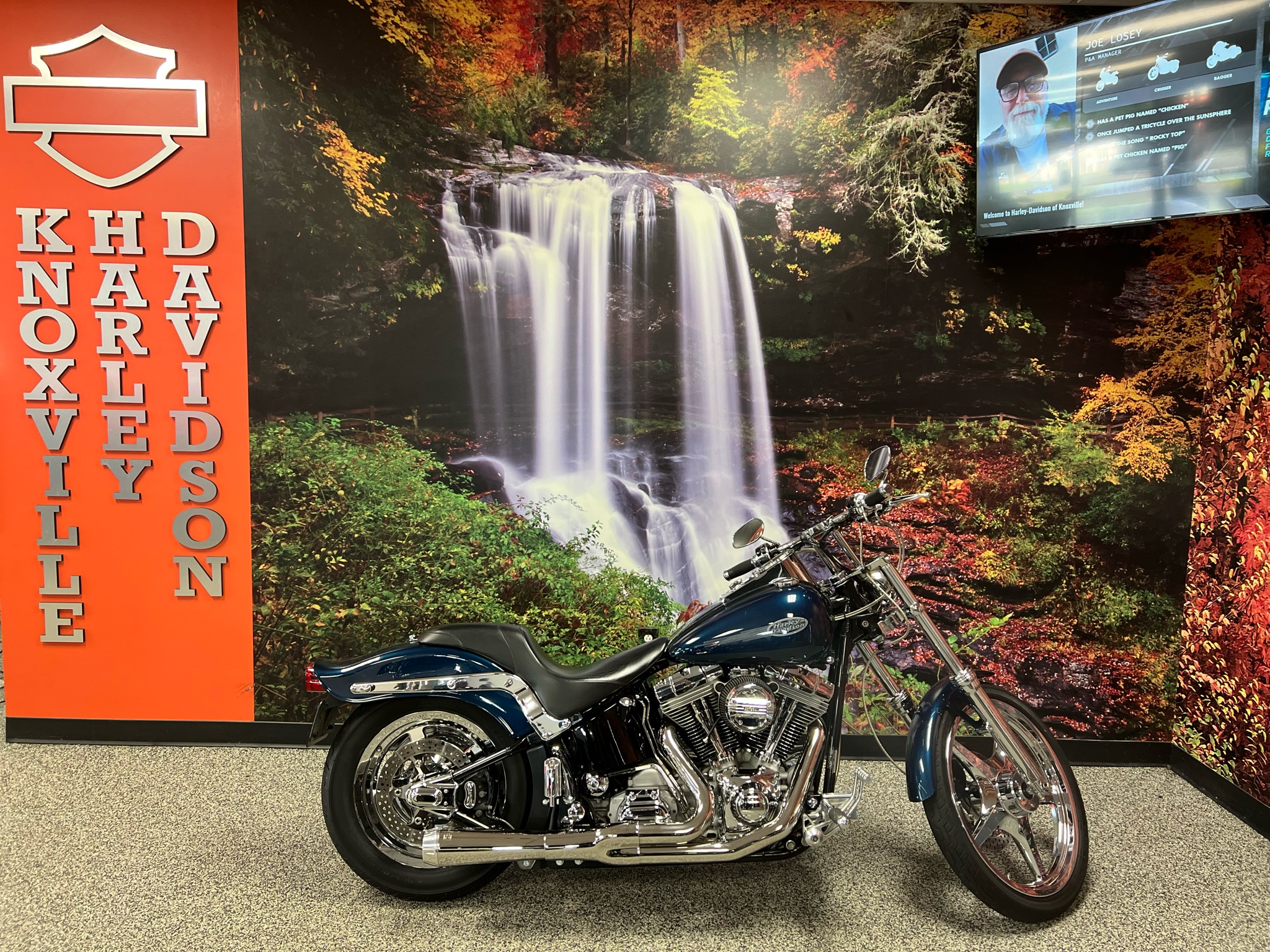 2001 Harley-Davidson FXST/FXSTI Softail® Standard