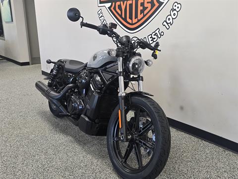2025 Harley-Davidson Nightster® for Sale - Specs, Price | New