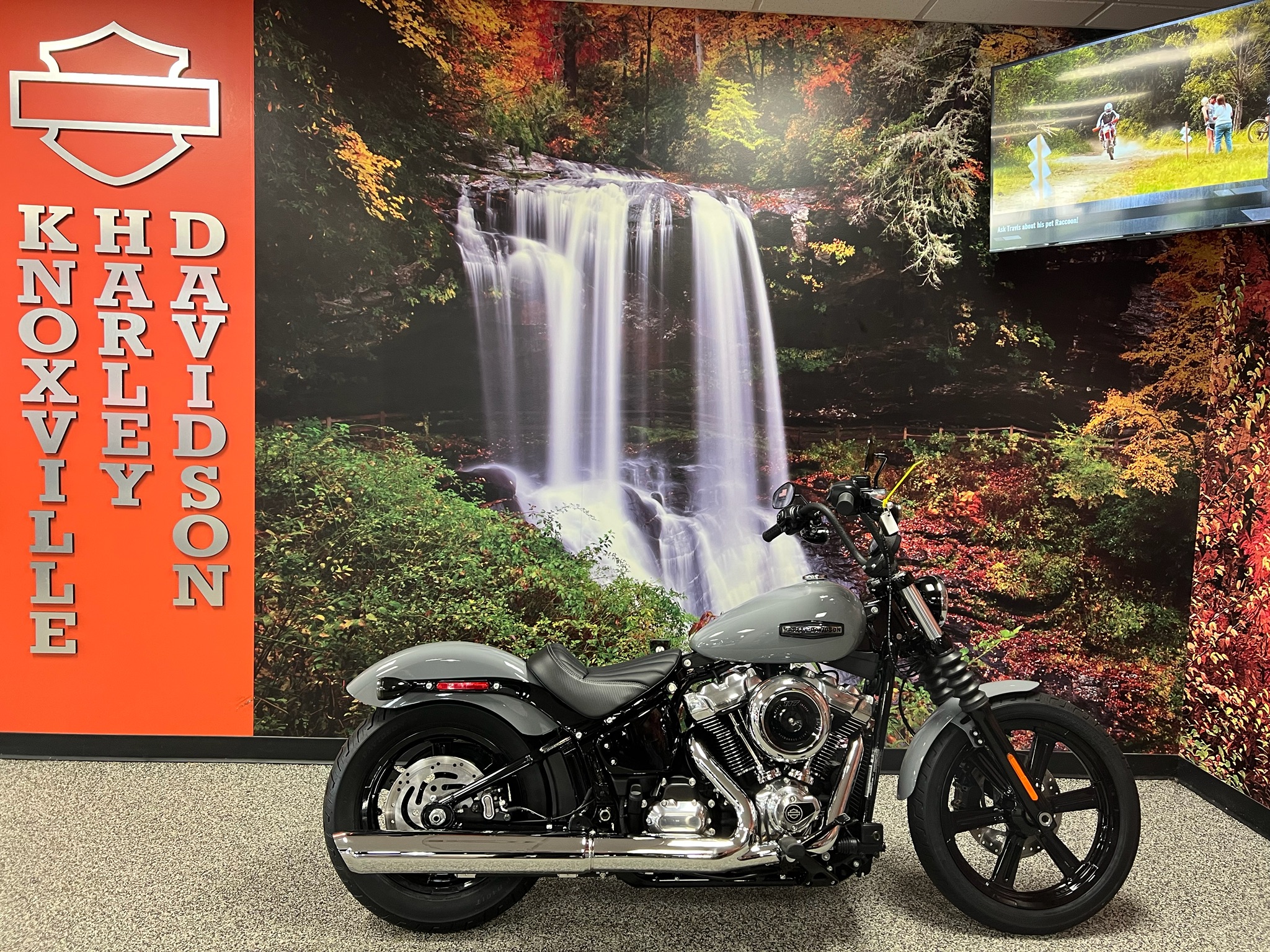 2026 Harley-Davidson Street Bob® for sale 1196362