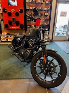 2021 Harley-Davidson Iron 883™ in Augusta, Maine