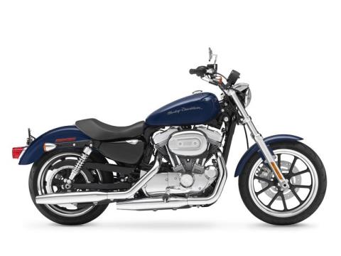 2013 Harley-Davidson Sportster® 883 SuperLow® in Augusta, Maine