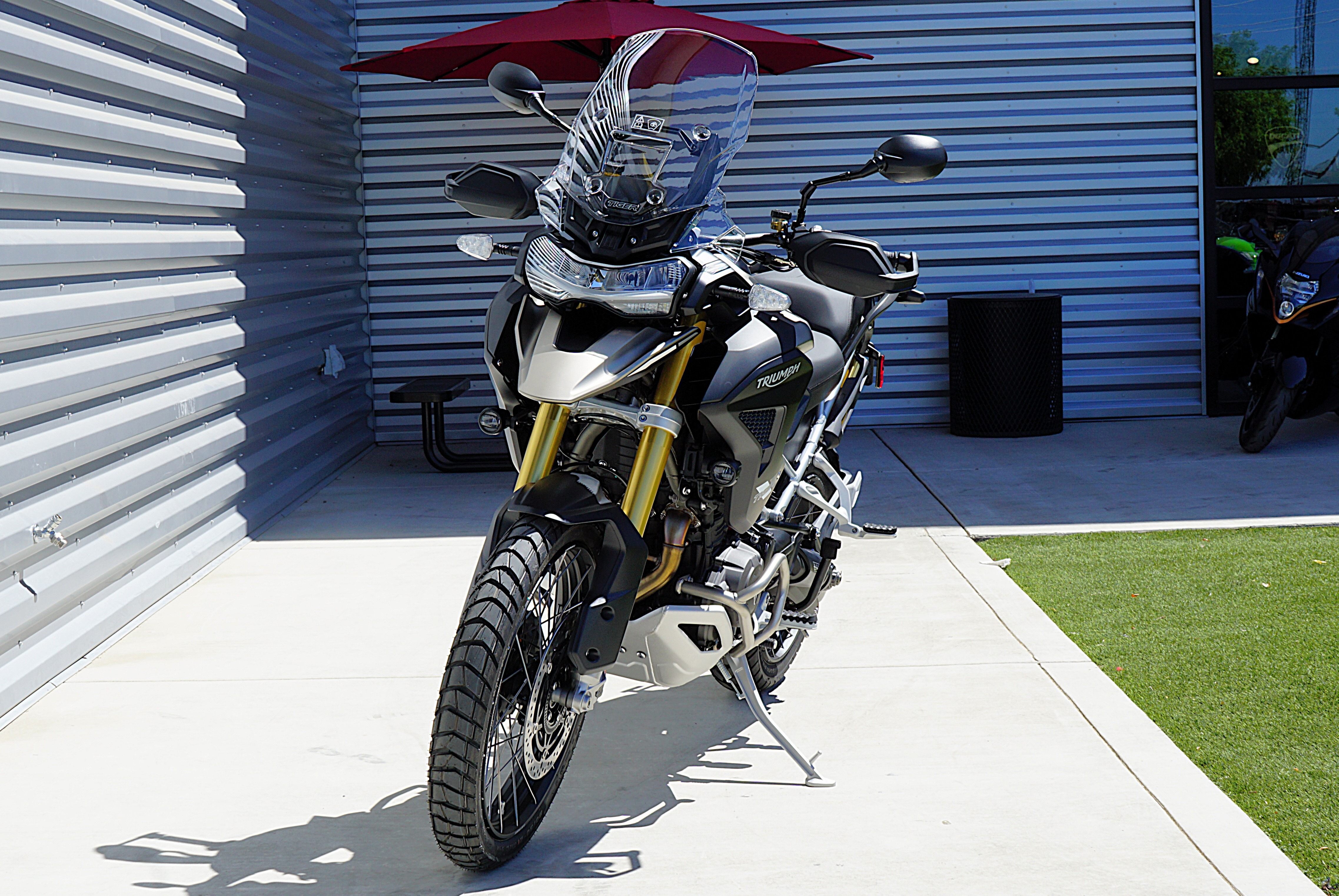 2025 Triumph Tiger