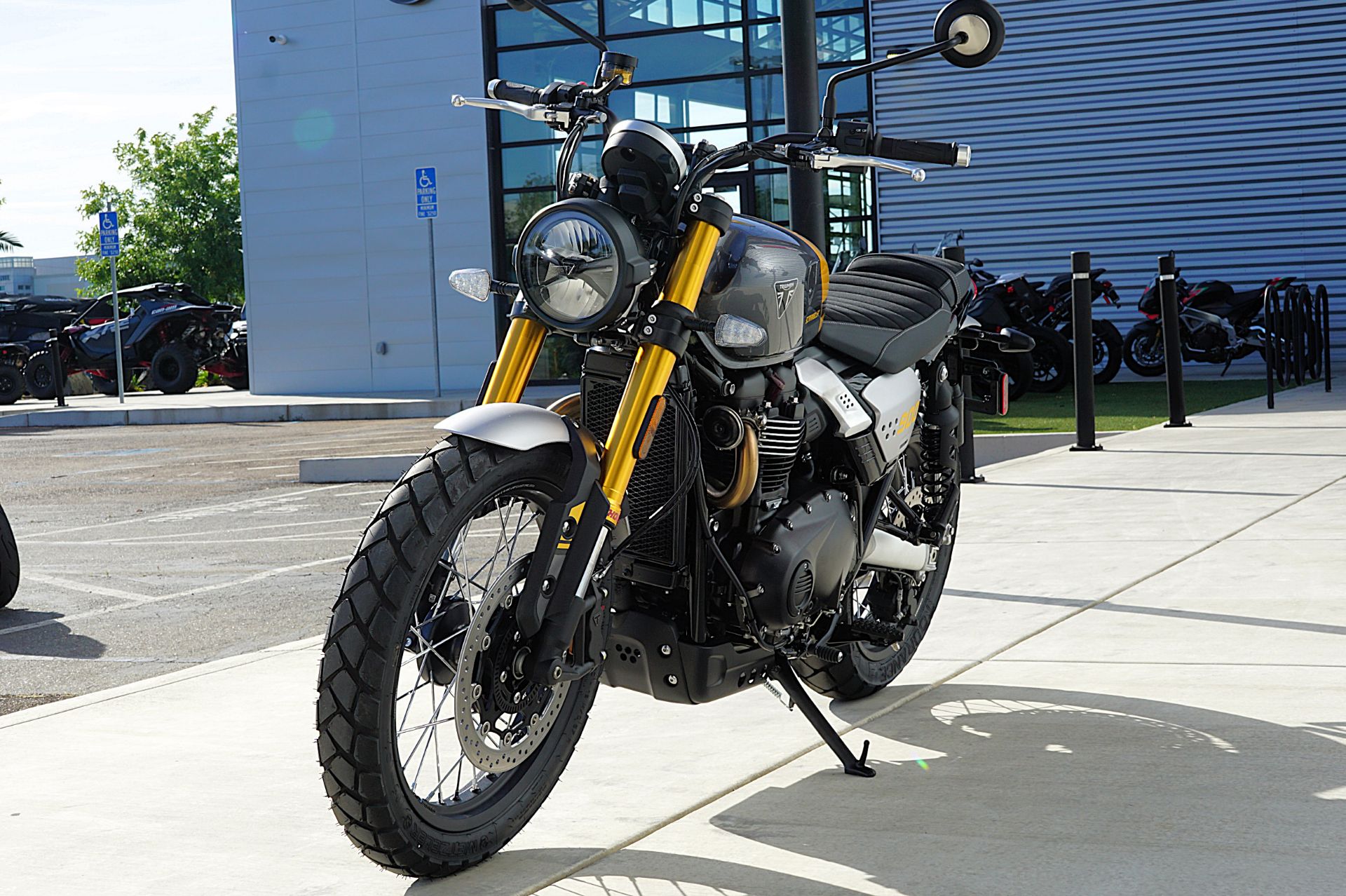 2026 Triumph Scrambler 900