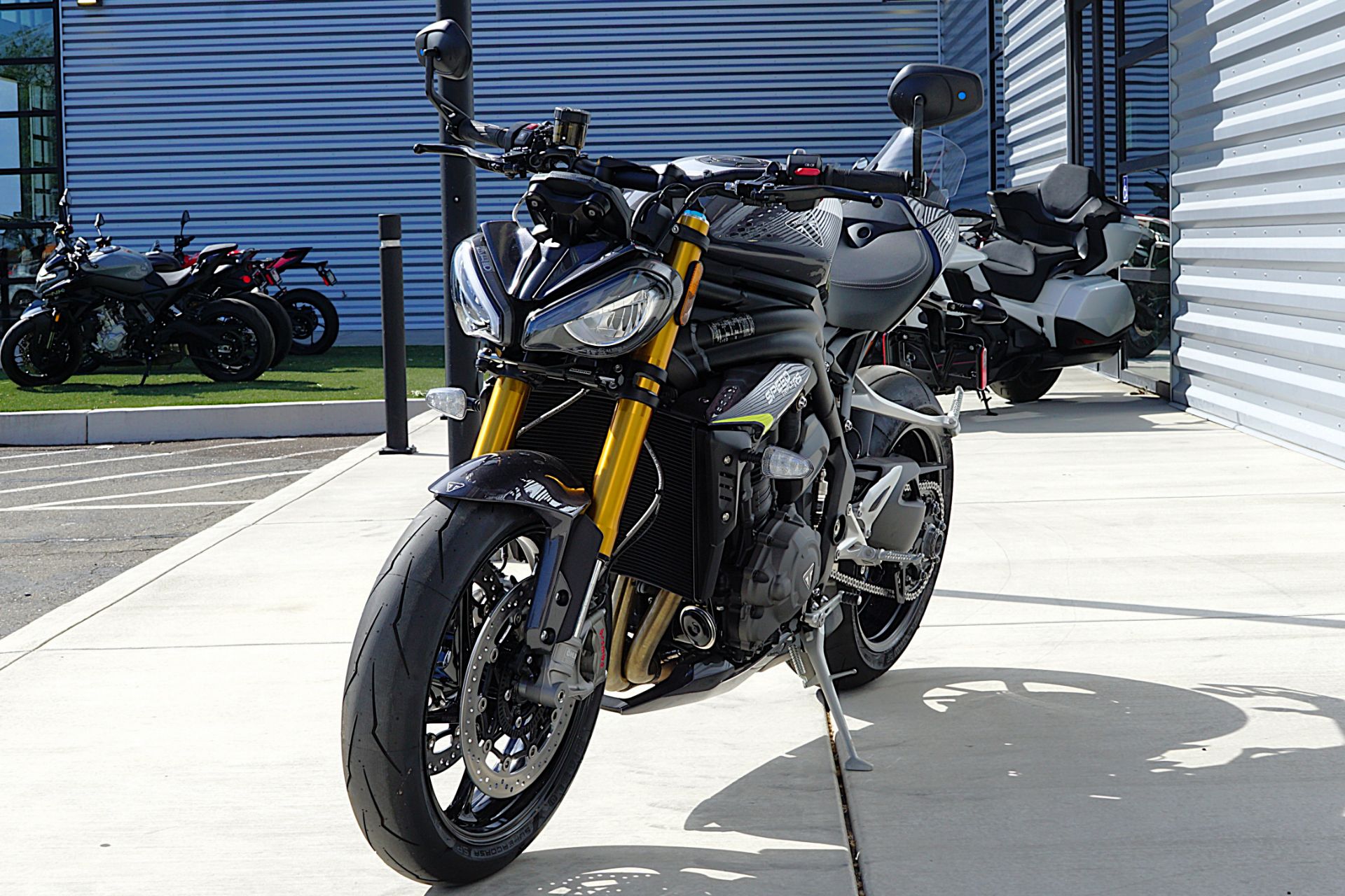 2026 Triumph Speed