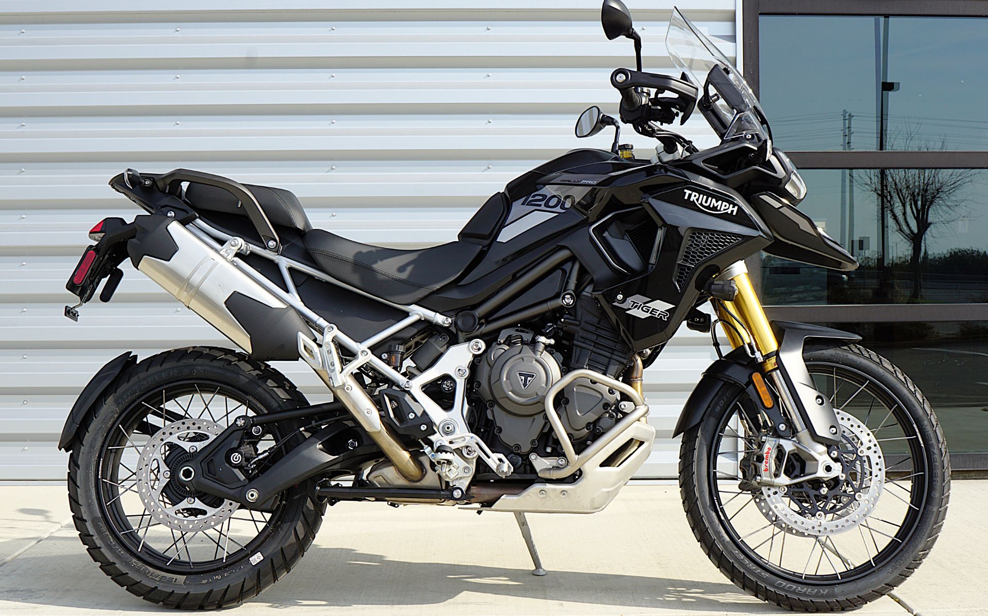 2023 Triumph Tiger 1200 Rally Pro