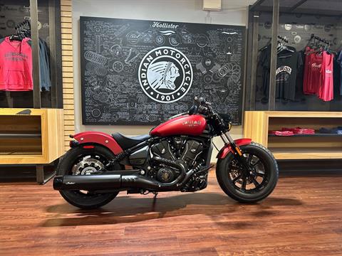 New 2025 Indian Motorcycle Scout® Bobber Limited +Tech