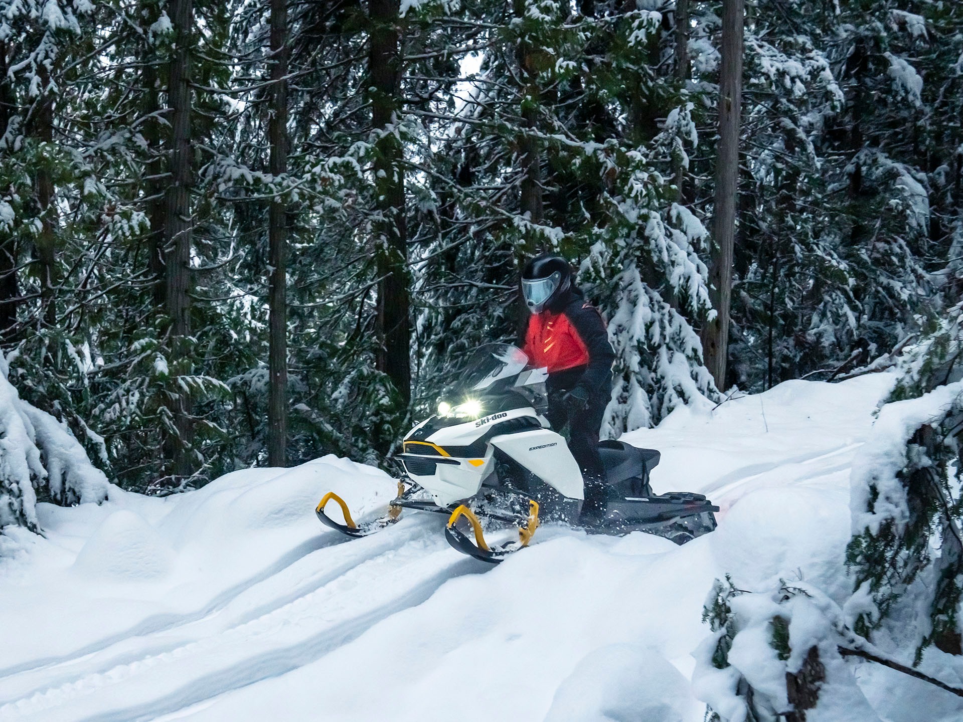 2025 Ski-Doo Expedition Electric