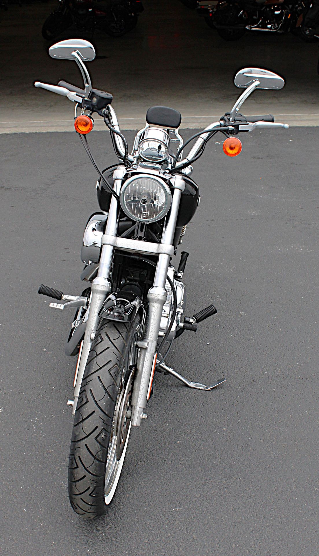2006 Harley-Davidson Sportster® 1200 Low in Burlington, Washington - Photo 3