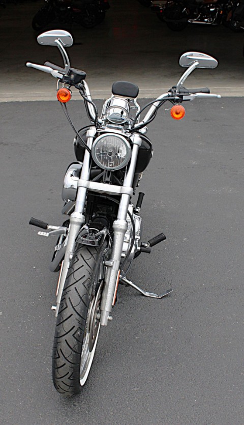 2006 Harley-Davidson Sportster® 1200 Low in Burlington, Washington - Photo 3