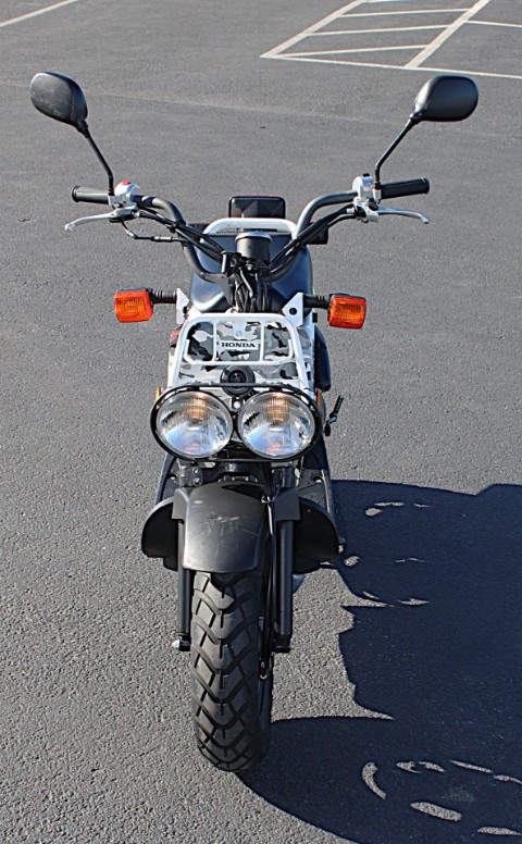 2007 Honda Ruckus® in Burlington, Washington - Photo 4