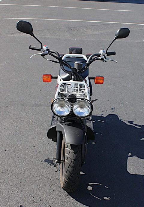 2007 Honda Ruckus® in Burlington, Washington - Photo 3