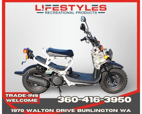 2007 Honda Ruckus® in Burlington, Washington - Photo 1