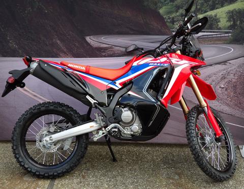 2024 Honda CRF300L Rally in Goleta, California - Photo 1