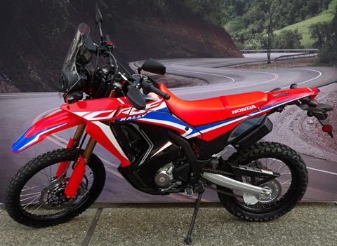 2024 Honda CRF300L Rally in Goleta, California - Photo 2