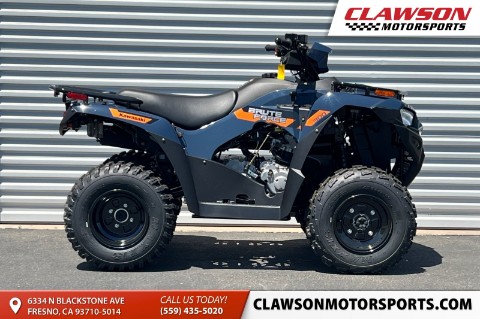 2026 Kawasaki Brute Force 300