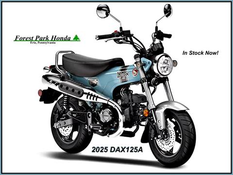 New 2025 Honda Dax 125 Motorcycles in Erie, PA | Stock Number: 3190