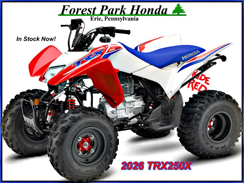 2026 Honda TRX250X 1