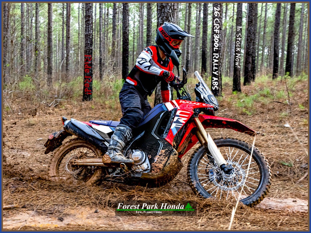 2026 Honda CRF300L Rally ABS for sale 1203924