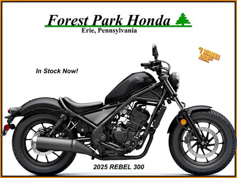 New 2025 Honda Rebel 300 Motorcycles in Erie, PA Stock Number: 3342