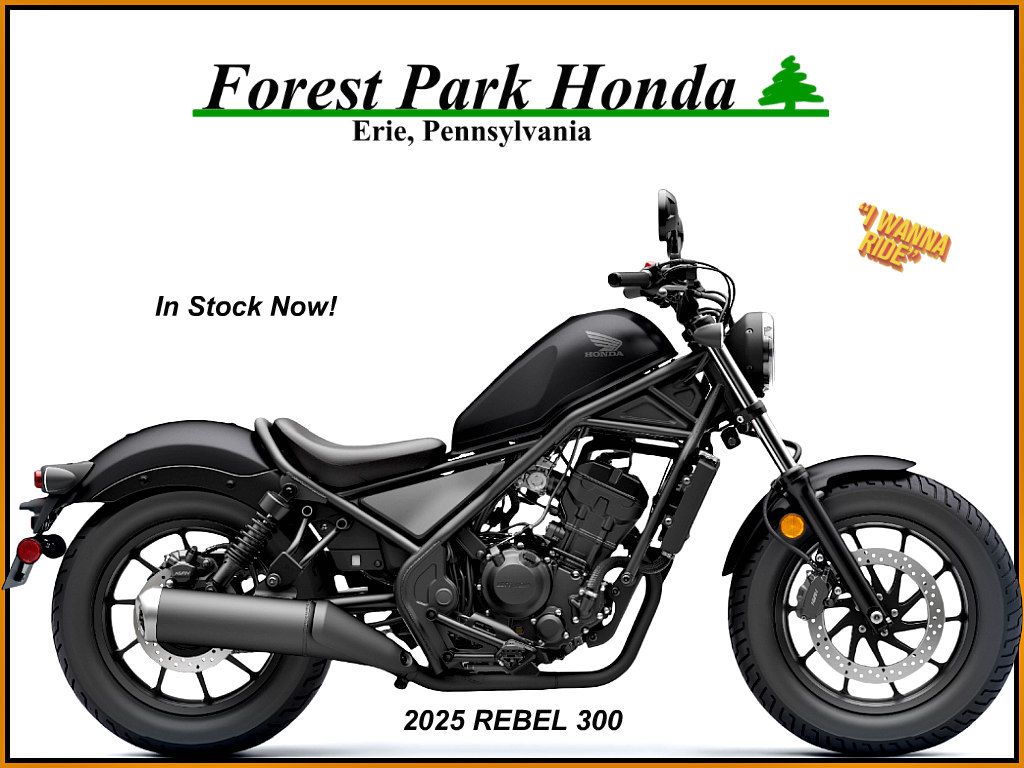 2025 Honda Rebel 300 for sale 757880