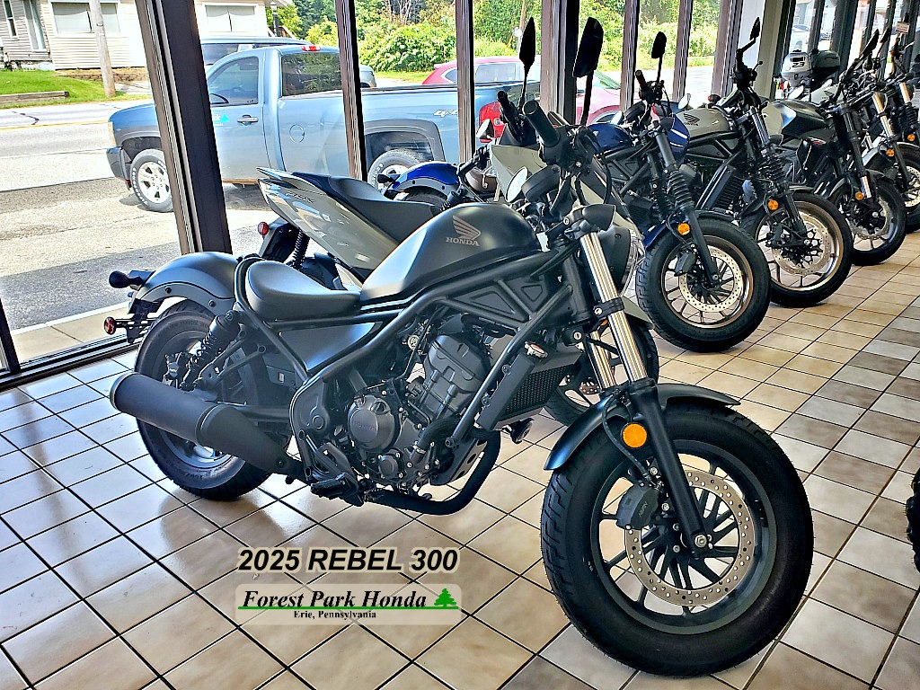 2025 Honda Rebel 300 for sale 757880