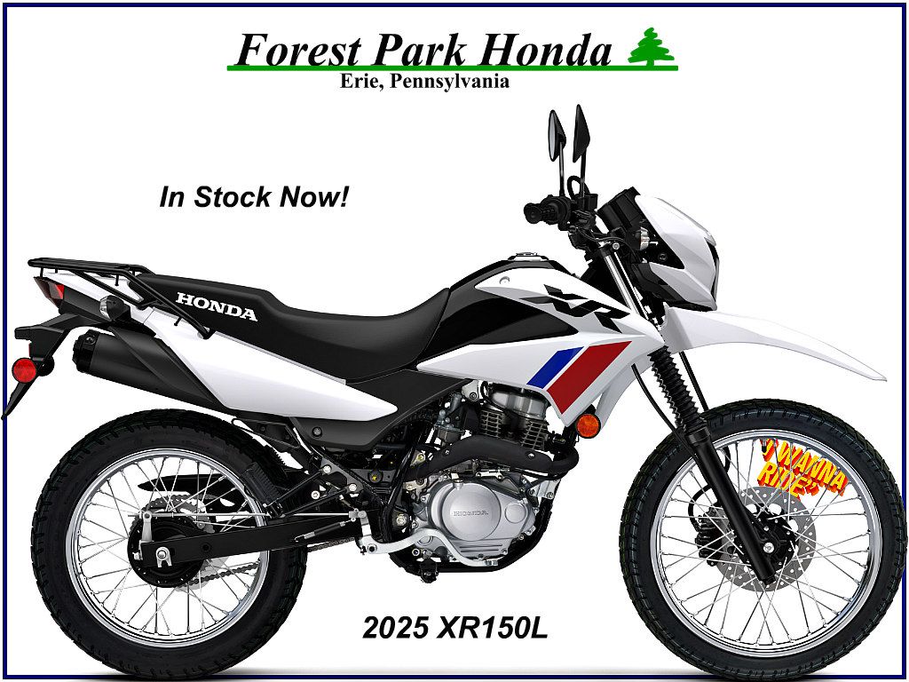 バイク XR50 goobike】バイクカタログ：ホンダ XR50モタード｜HONDA XR50 MOTARD