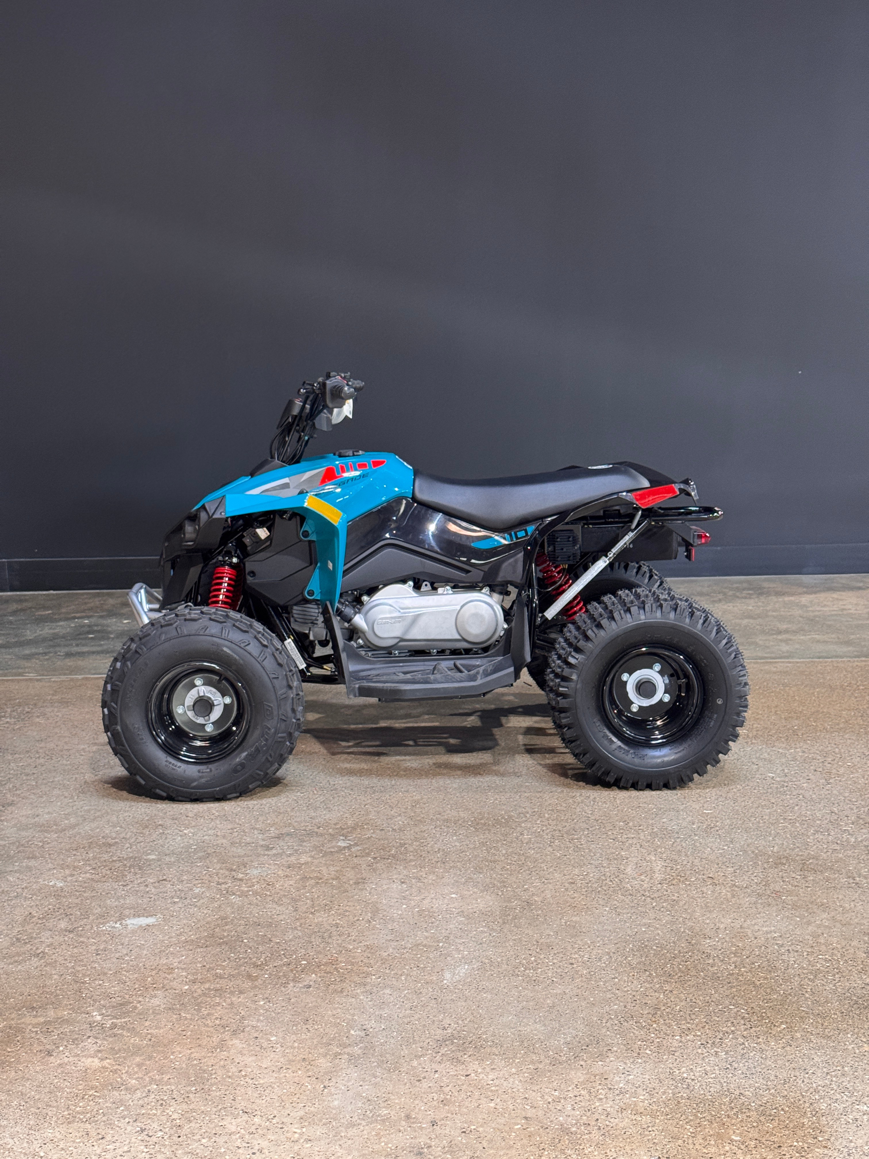 2026 Can-Am Renegade 110 EFI for sale 1245190
