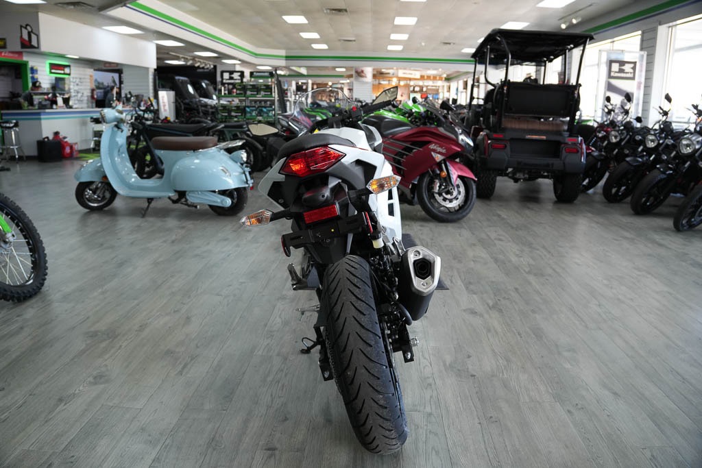 2026 Kawasaki Ninja® 300 ABS 10