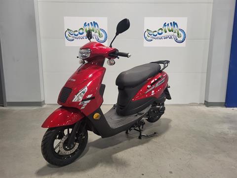 New Scooters Inventory for Sale in MN | Ecofun Motorsports