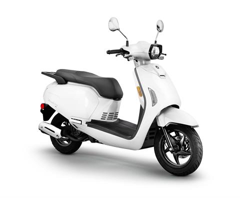 scooter SPINOR スクーター141cm 20-21 24-25 SCOOTER(スクーター)・SPINOR スピナー・スノーボード