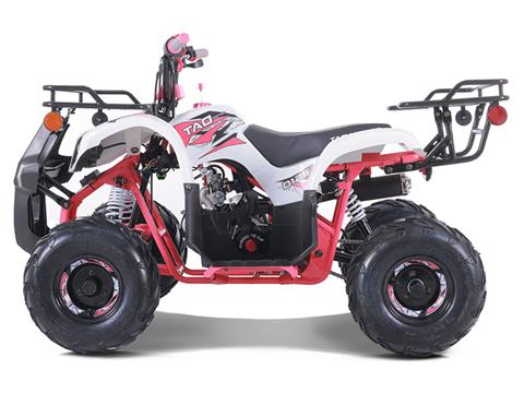Morefun☆ New 2025 Kawasaki Brute Force 750 EPS, Newfield NY | Specs