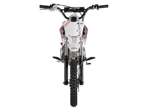 New 2024 Kayo TSD 110 Dirt Bike | Motorcycles in Forest Lake MN